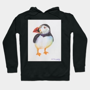 Puffin - drawing with color pencils Hoodie